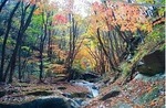 Takigawa Valley.jpg
